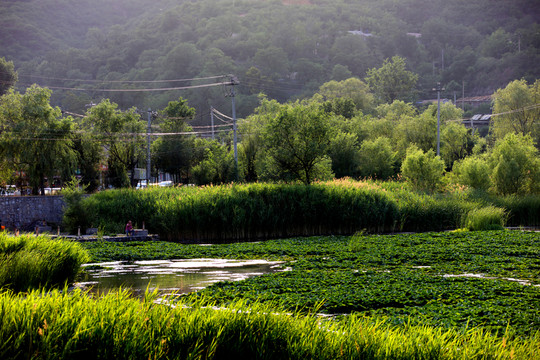 京西小鎮(zhèn)