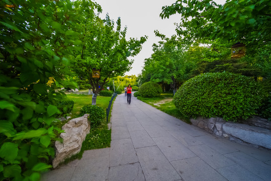 美麗的大明湖公園