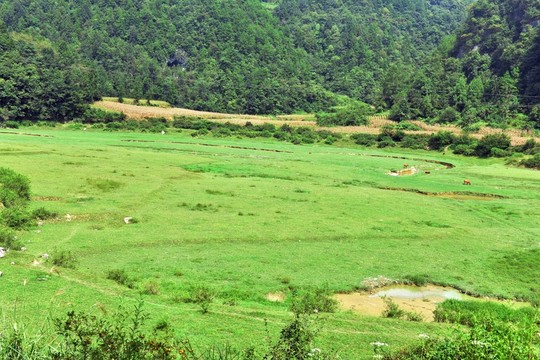 草原風(fēng)景