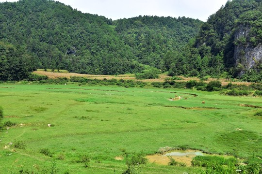 美麗田野風(fēng)景