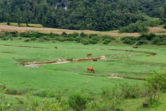 美麗田野風(fēng)景
