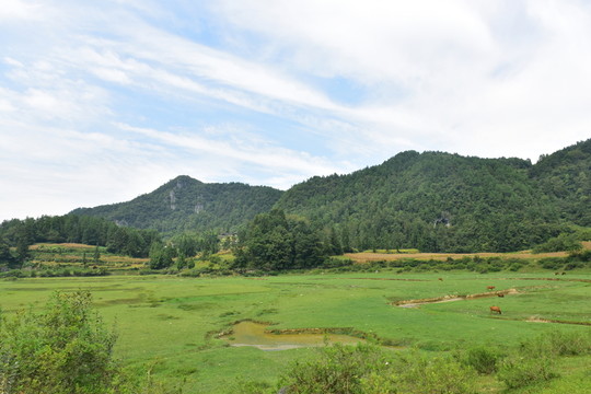 美麗田野風(fēng)景