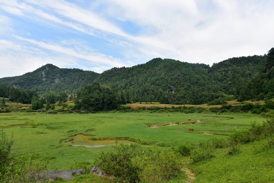草原風景照片