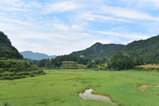 草原美景