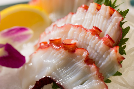 章魚刺身