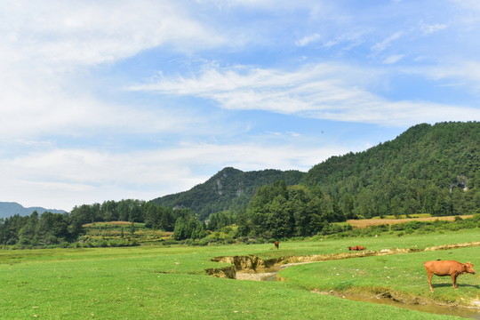 田園美麗景色