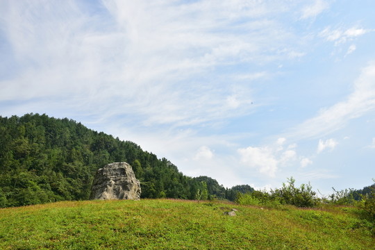 美麗田園