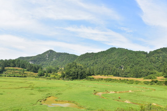 美麗田園