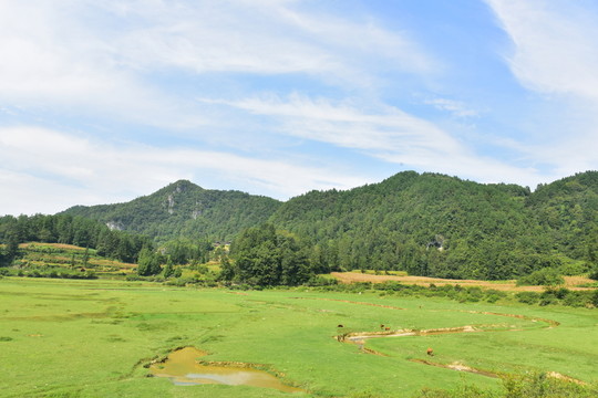 美麗田園