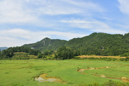美麗田園