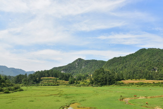 美麗田園