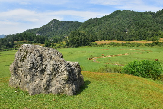 田園美麗風(fēng)景