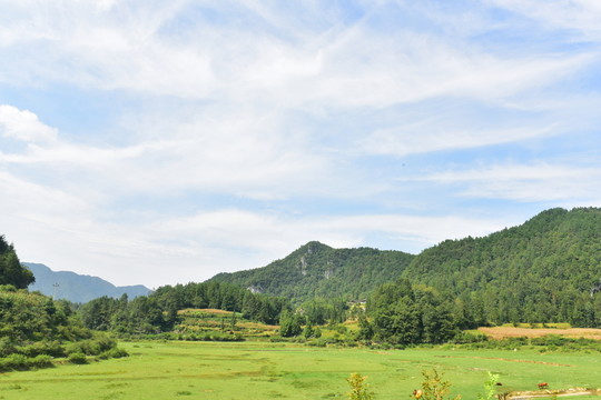 田園風(fēng)景