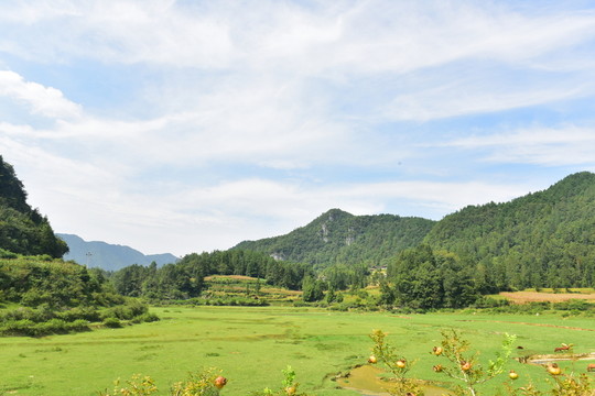 田園風(fēng)景