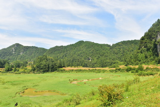 田園風(fēng)景