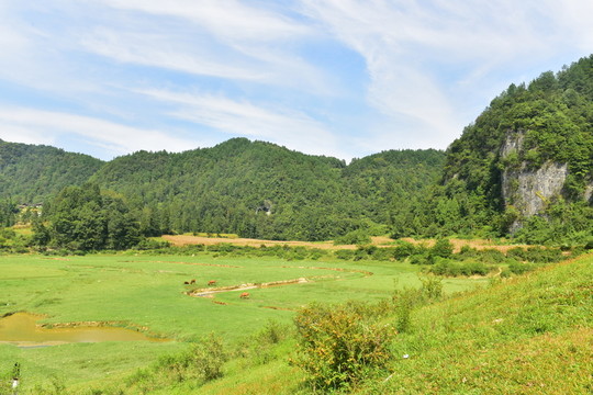 田園風(fēng)景
