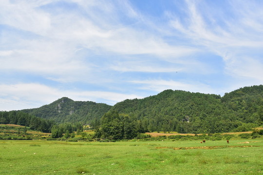 田園風(fēng)景
