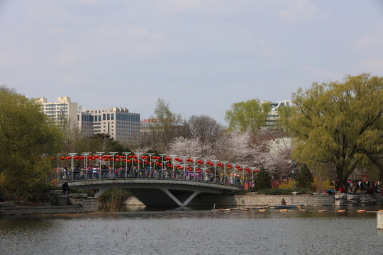 玉淵潭公園的風(fēng)光