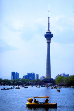 玉淵潭公園風光