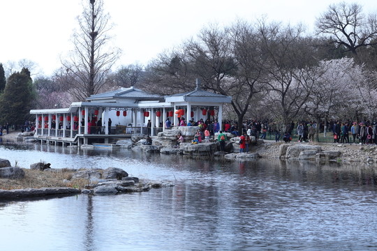 玉淵潭公園風(fēng)光
