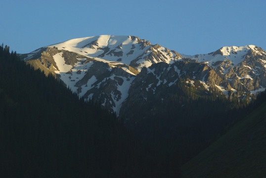 高山