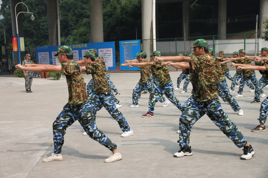 大學(xué)新生軍訓(xùn) 軍體拳