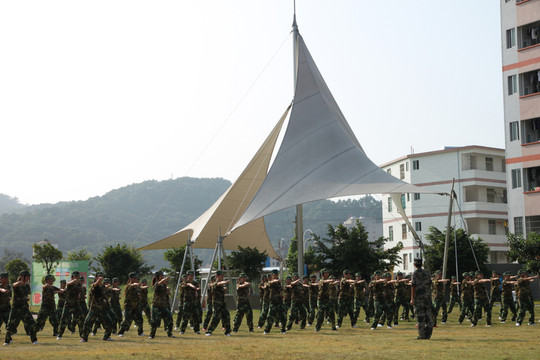 大學新生軍訓 軍體拳