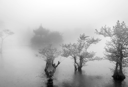 水墨畫 中國畫 意境