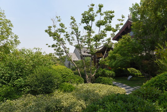 別墅綠化 庭院綠化