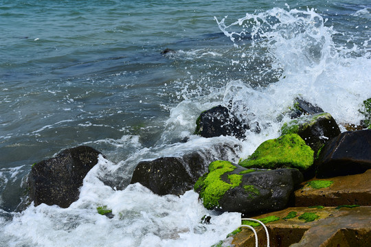 浪花