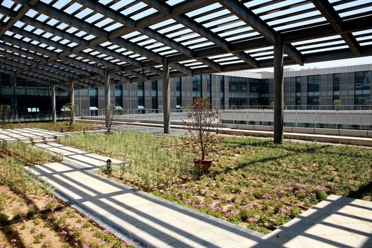 樓頂花園建筑