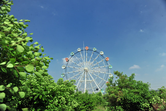摩天輪  游樂場