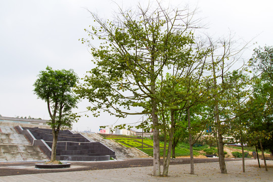 園林 樹林