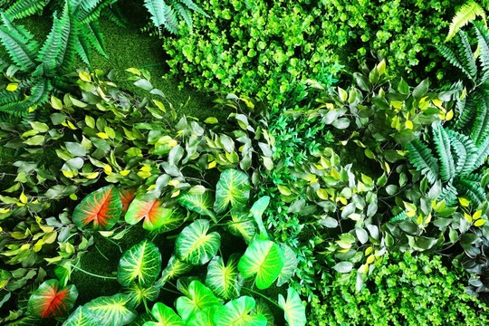 綠植墻