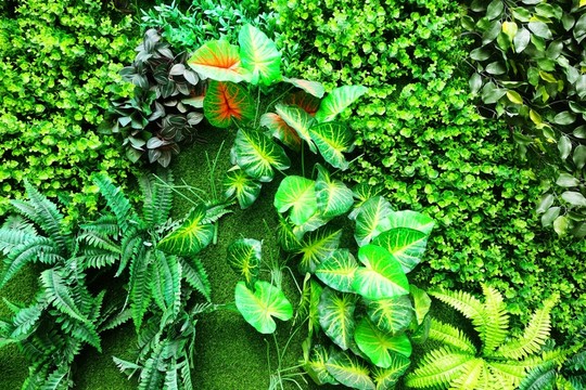 仿真綠植墻
