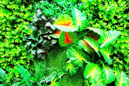 仿真綠植墻