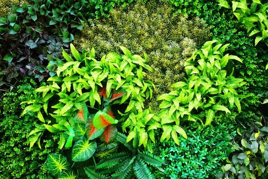 仿真綠植墻