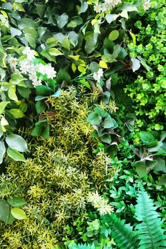 綠植墻