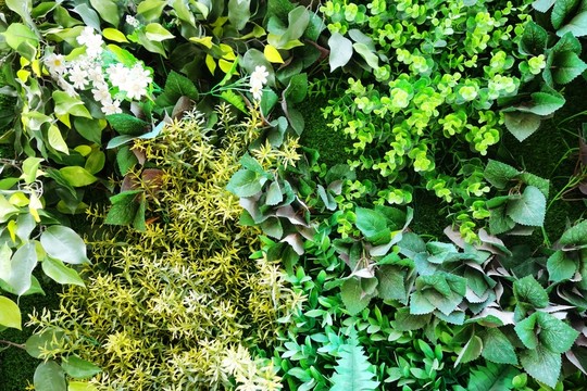 綠植墻