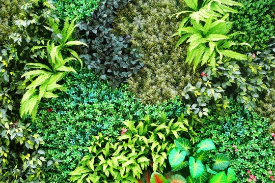 仿真綠植墻