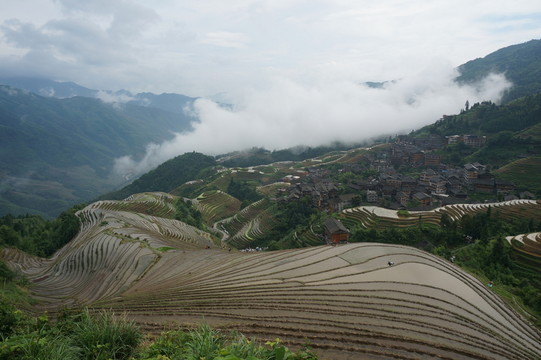 龍脊梯田