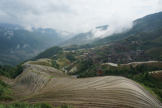 龍脊梯田
