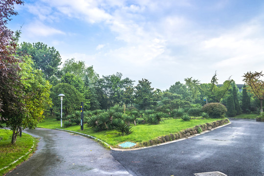 雨后的綠博園
