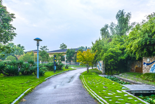 雨后的綠博園