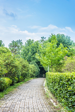 園林小道