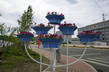城市美化