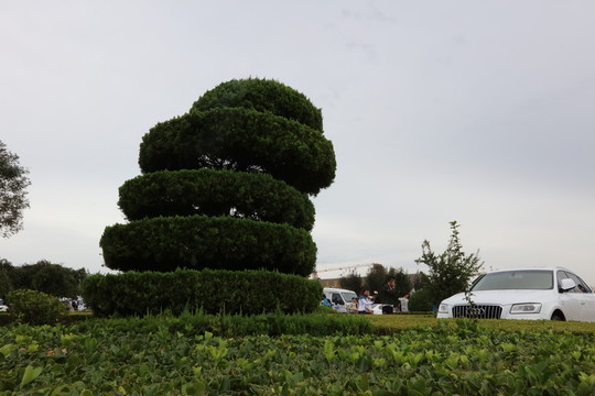 花卉景觀