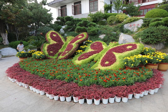 花卉景觀