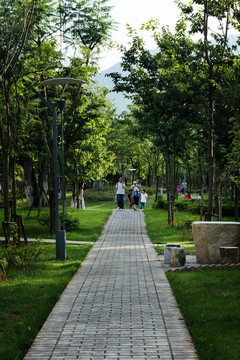 公園