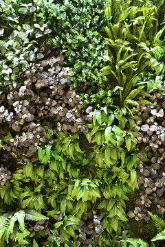綠色植物墻
